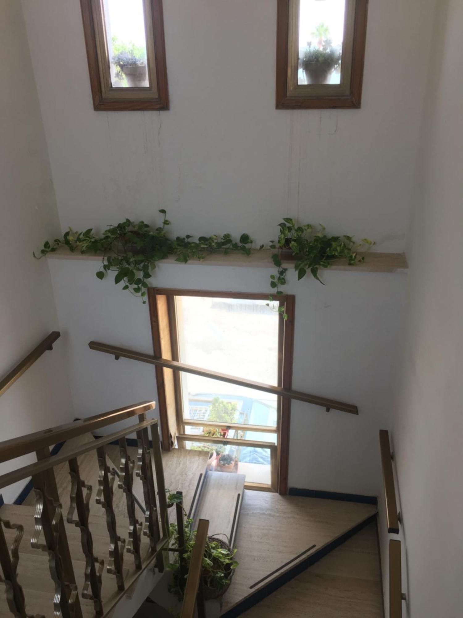 Delia Apartman Porto Cesareo Kültér fotó